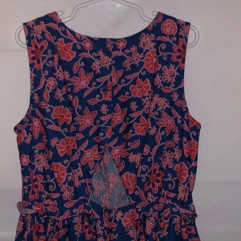 Gap Red & Blue Floral Print Dress